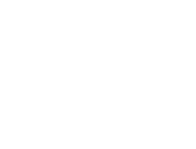 o9 design